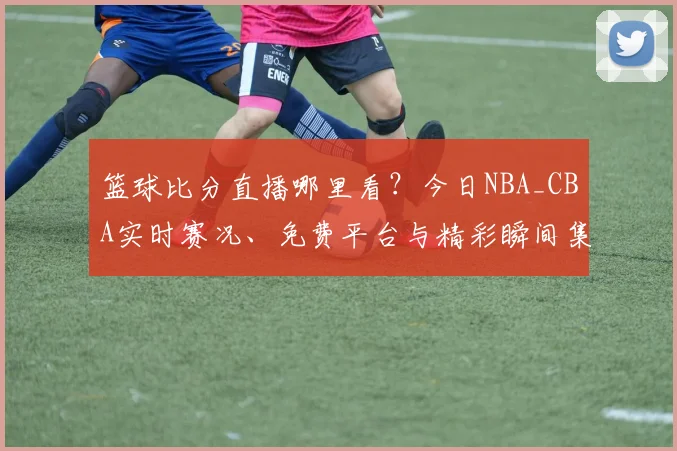篮球比分直播哪里看？今日NBA_CBA实时赛况、免费平台与精彩瞬间集锦一键获取