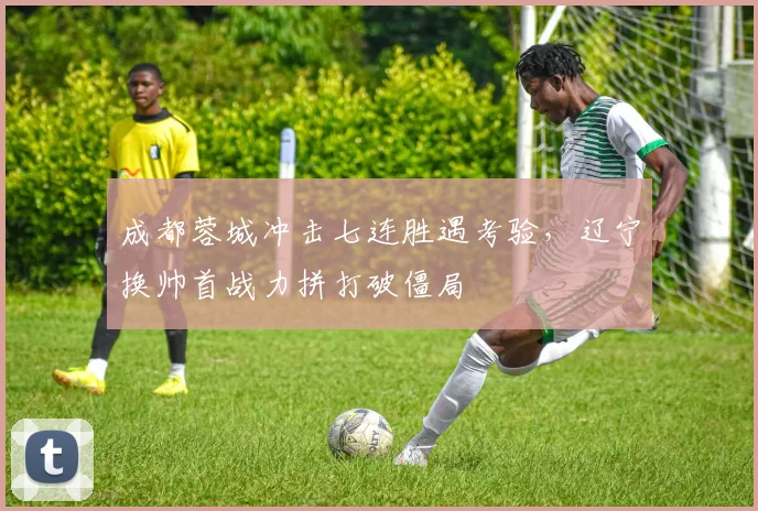 成都蓉城冲击七连胜遇考验，辽宁换帅首战力拼打破僵局